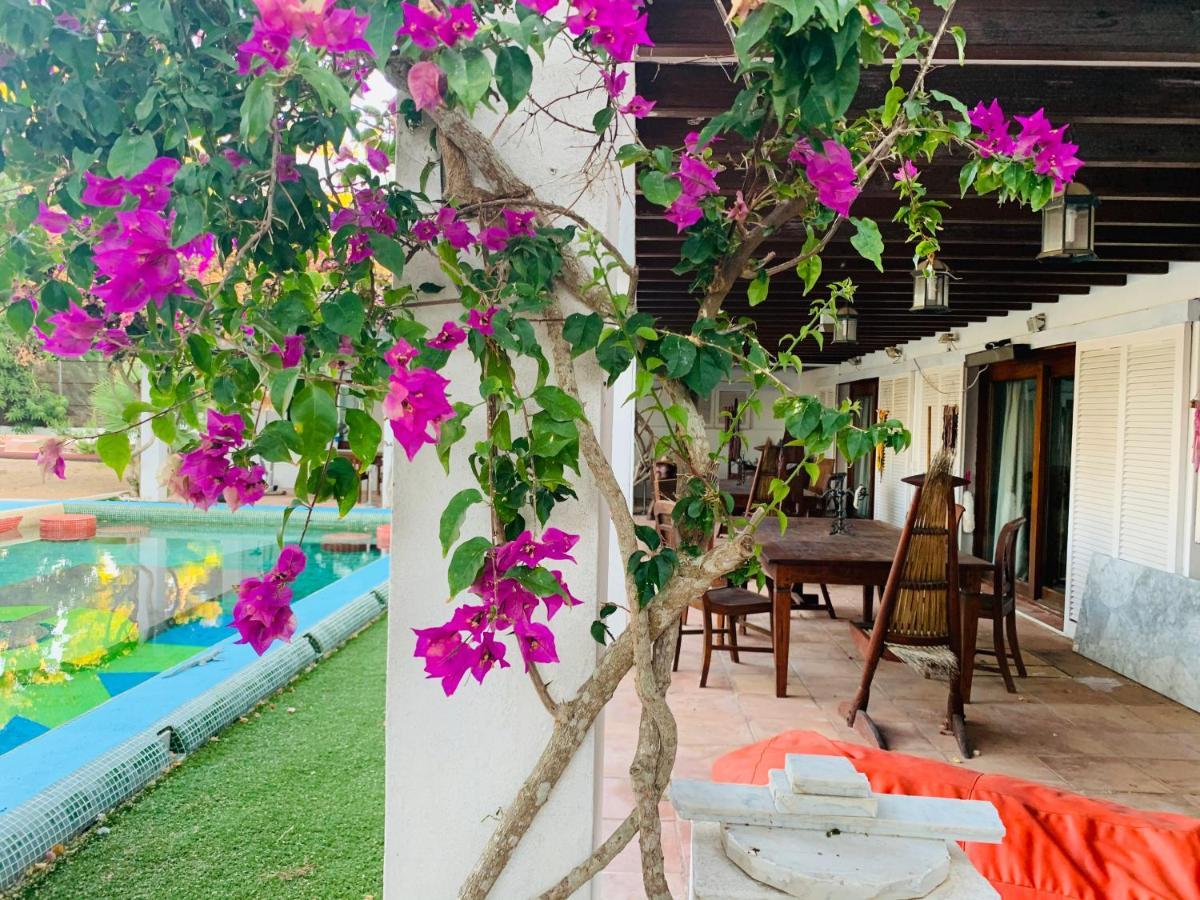 Ibiza Paradise Bed & Breakfast Santa Eularia des Riu Exterior foto